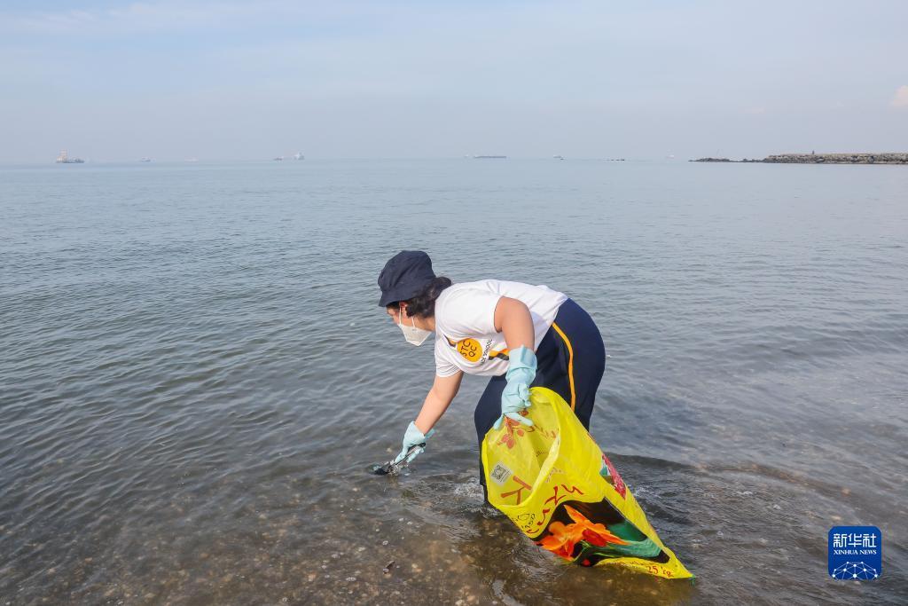 龙虎网注册